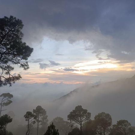 The Western Heights I Serviced Apartments I Pvt Balcony I Lift I Peacefull Area I Family Accomodation I Kasauli I By Exotic Stays Zewnętrze zdjęcie