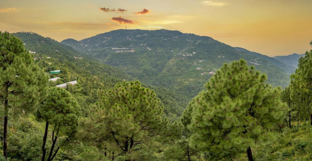 The Western Heights I Serviced Apartments I Pvt Balcony I Lift I Peacefull Area I Family Accomodation I Kasauli I By Exotic Stays Zewnętrze zdjęcie