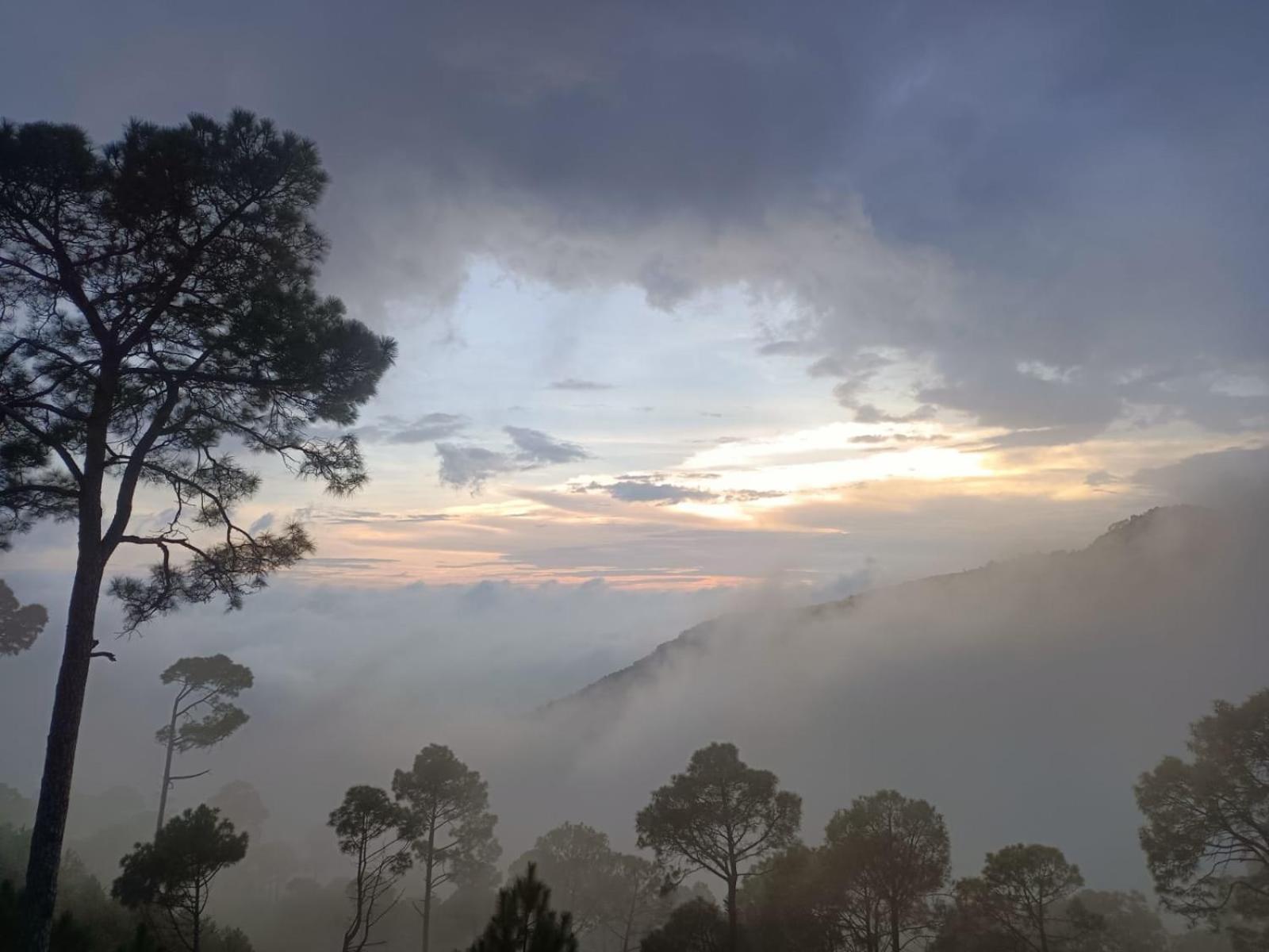 The Western Heights I Serviced Apartments I Pvt Balcony I Lift I Peacefull Area I Family Accomodation I Kasauli I By Exotic Stays Zewnętrze zdjęcie